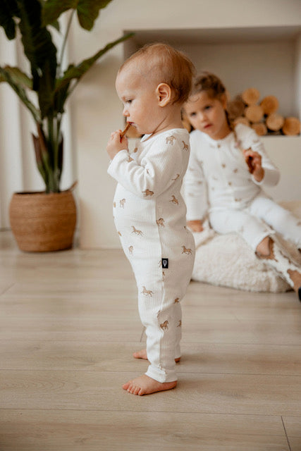 מארז אוברולים בהדפסים אייקונים 0-3