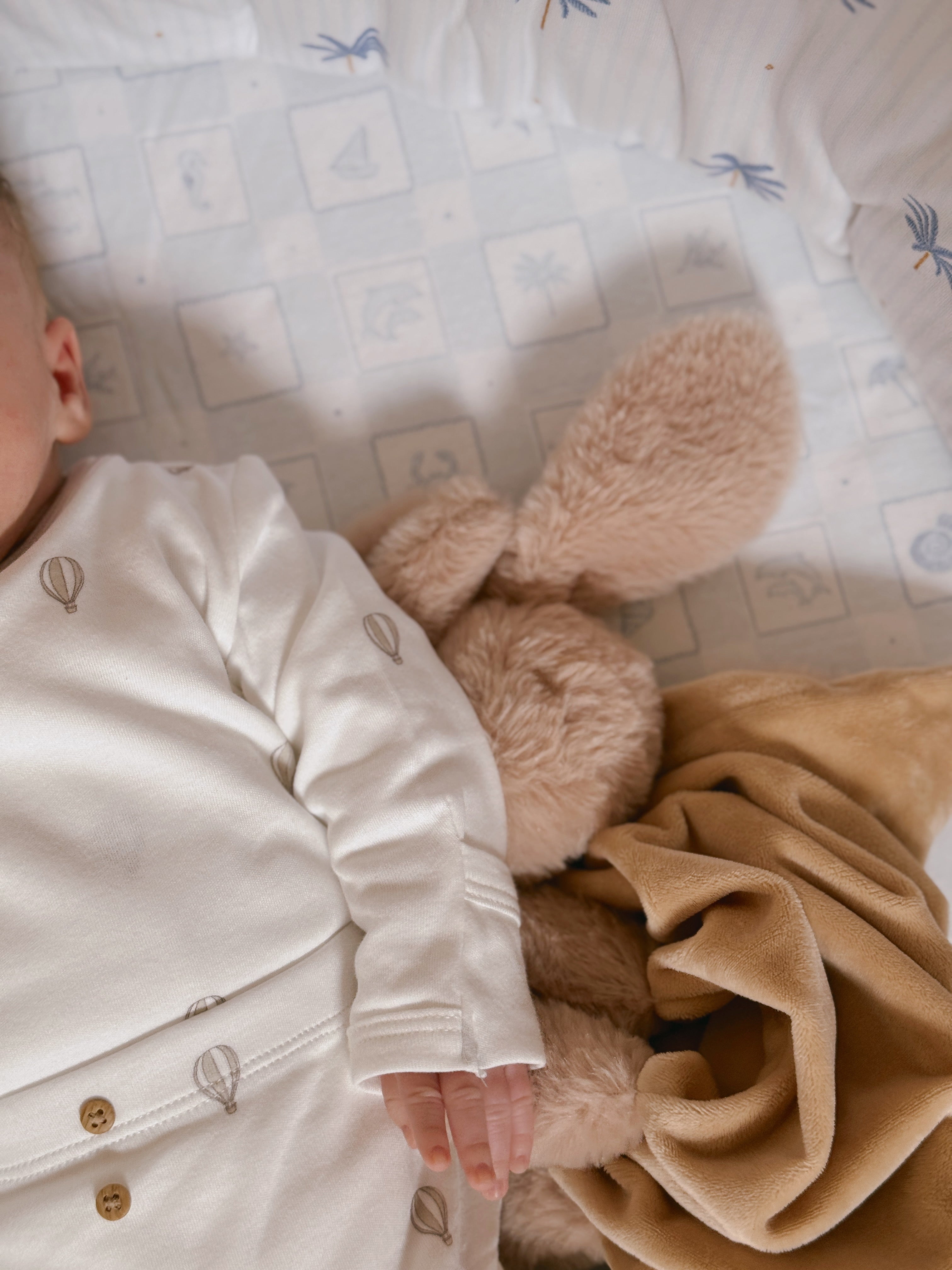 שמיכי ארנב בז'