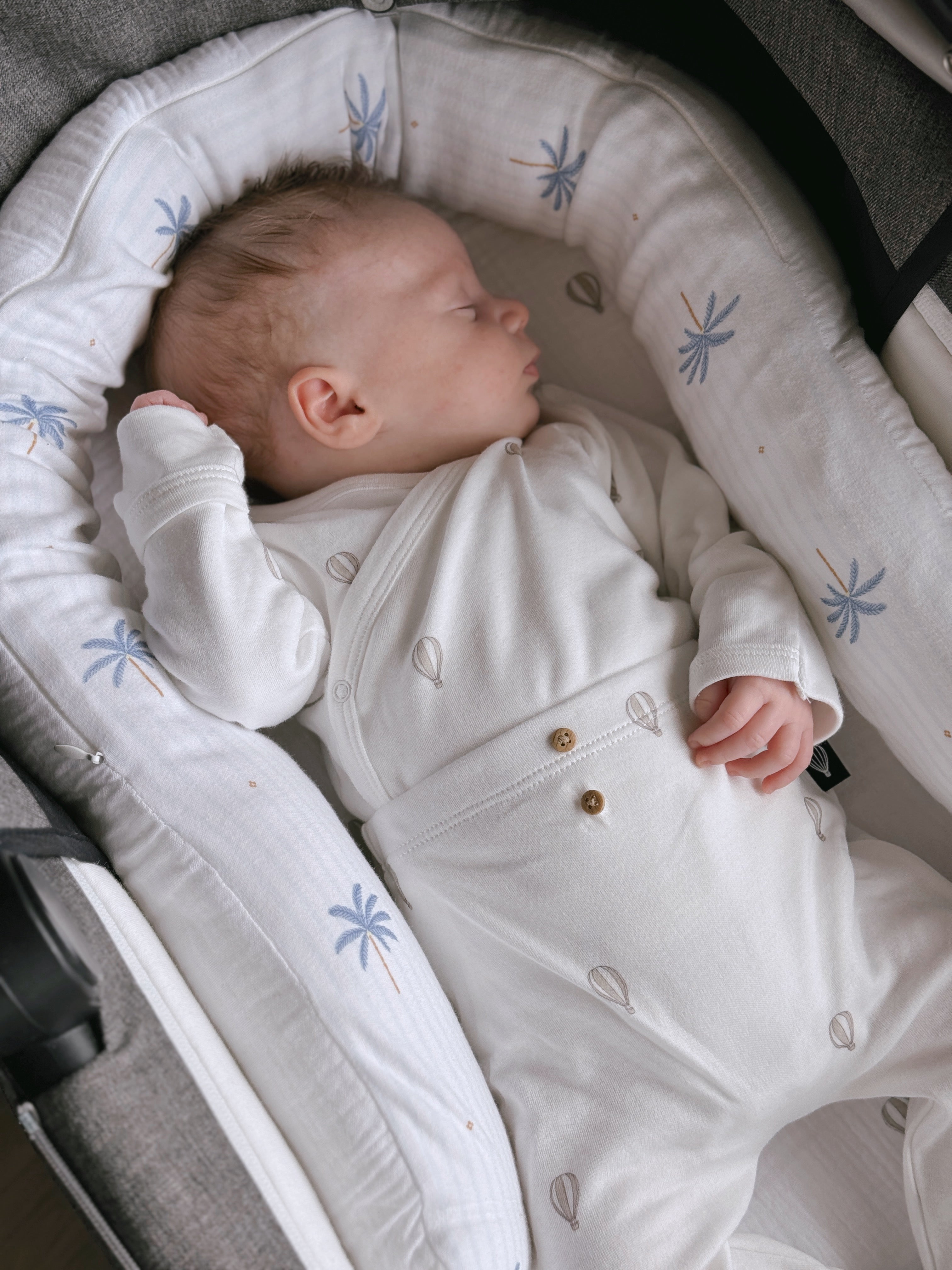 מיני נחשוש ריזורט