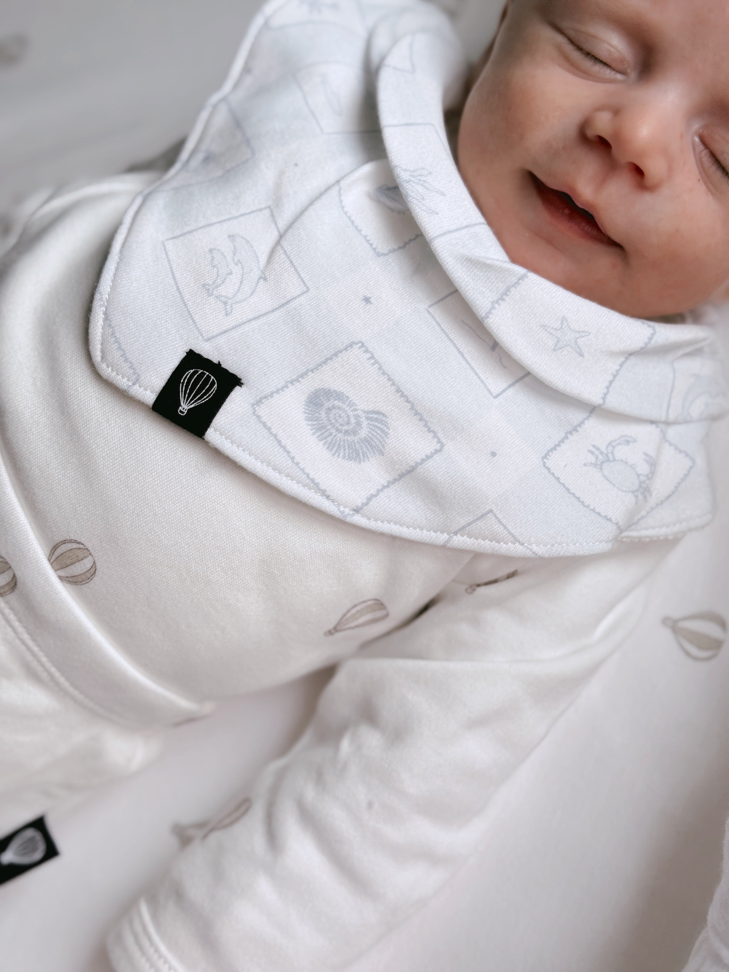 בנדנות ריזורט