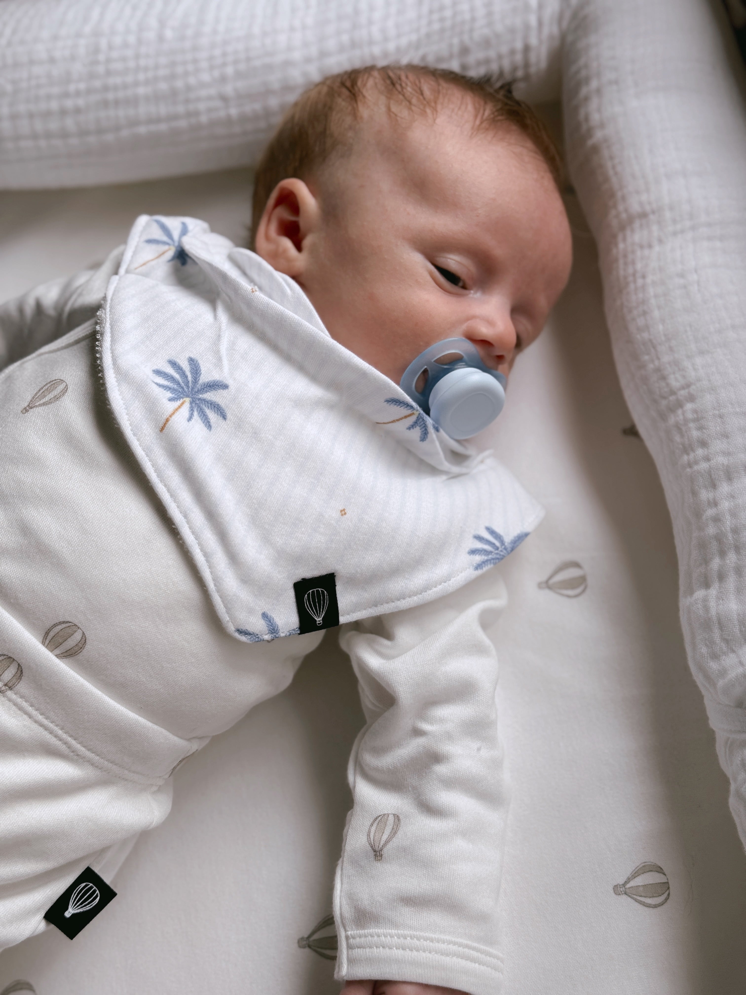 בנדנות ריזורט