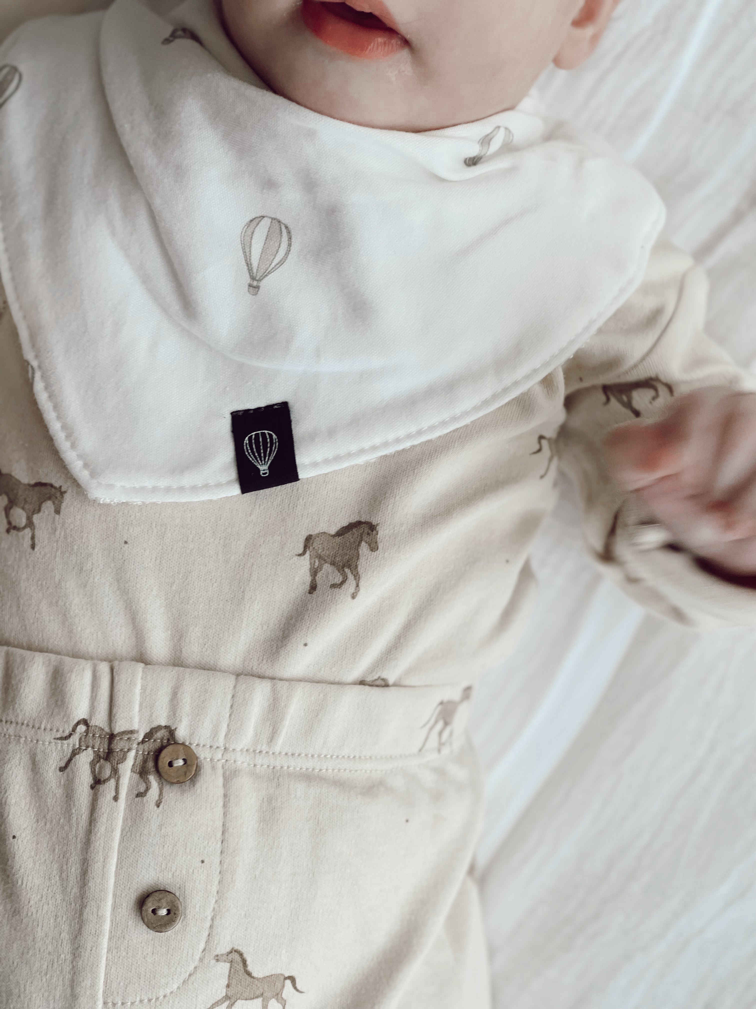 Set of 2 Hot Air Balloon Bandanas