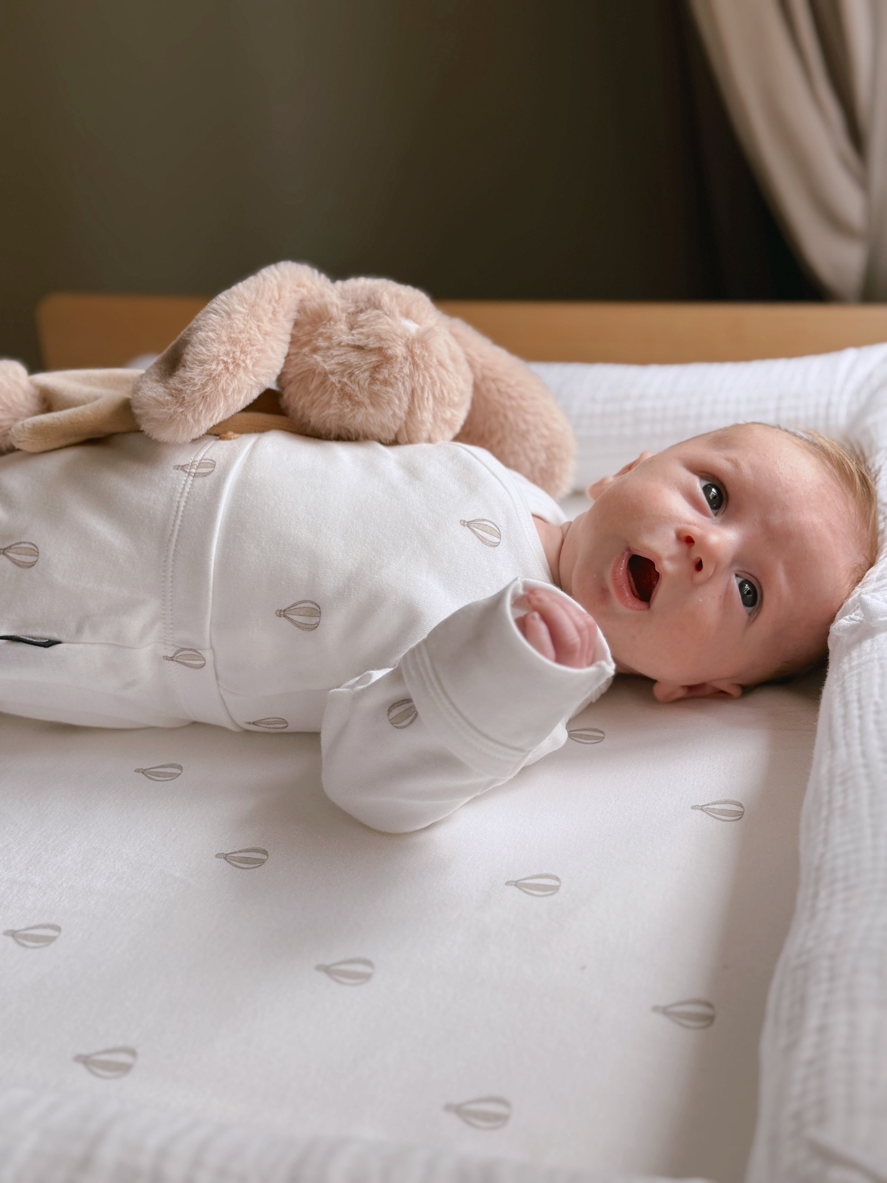 שמיכי ארנב בז'