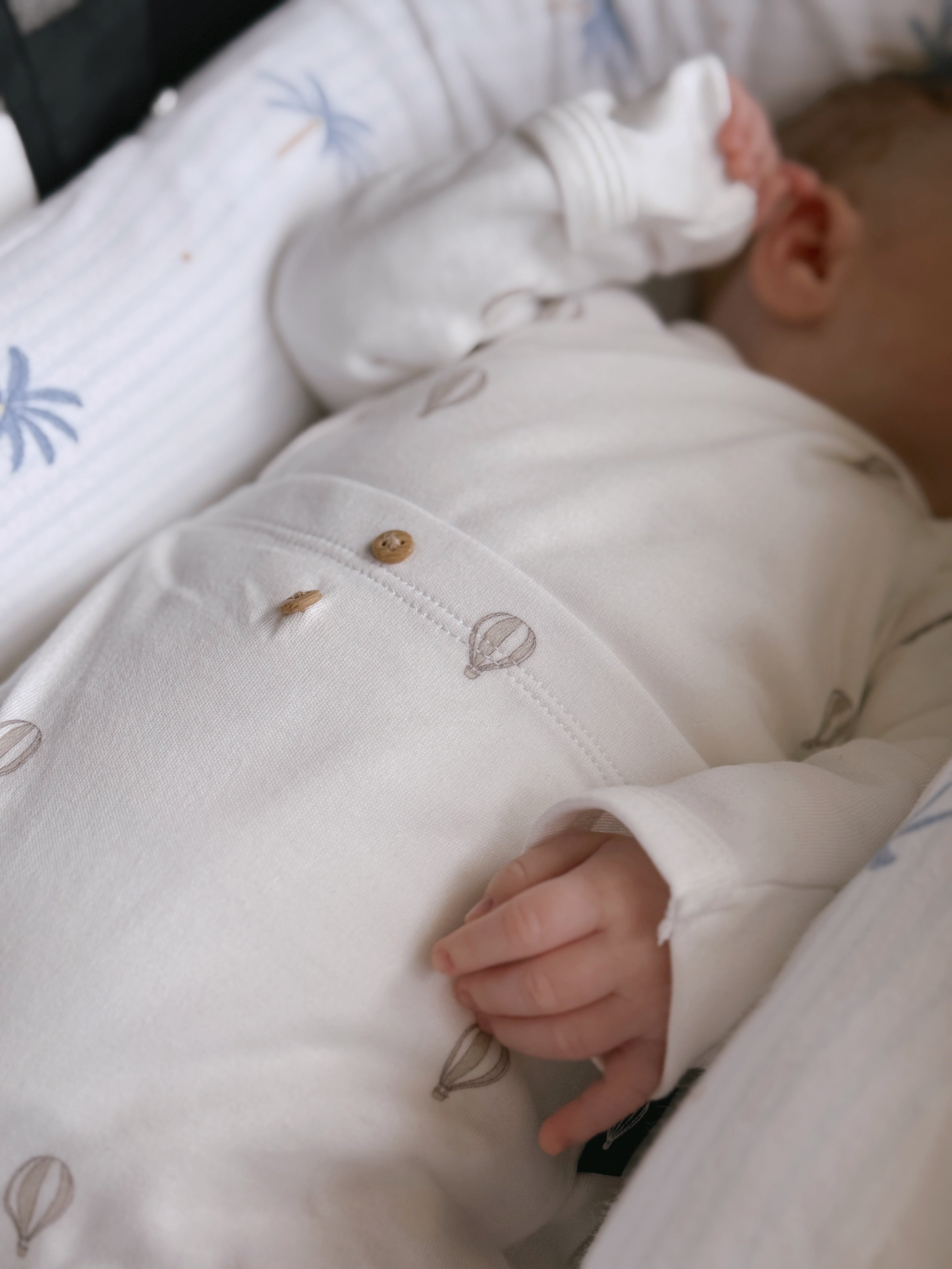 מיני נחשוש ריזורט