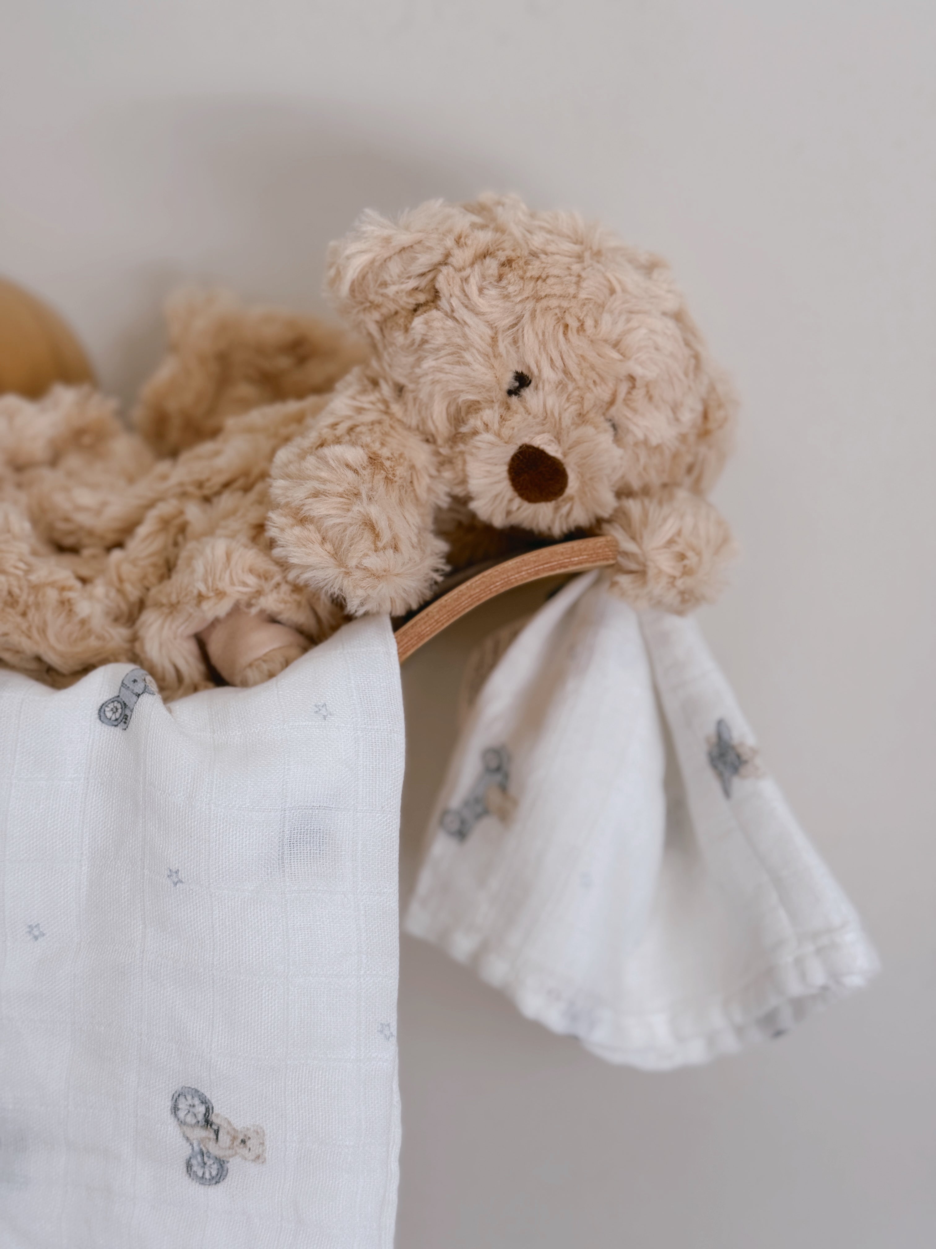 Toy Box Bear Bamboo Diapers Pair Pack